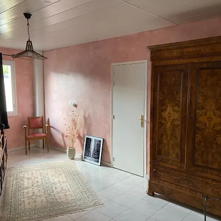 Du Cirque Nyaraló Châlons-en-Champagne